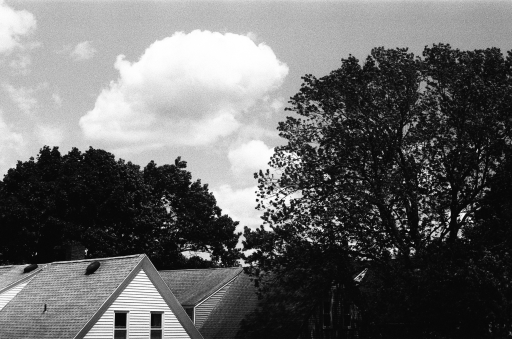 After reading Nightingale